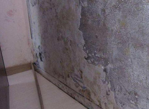 合肥小區開荒保潔公司