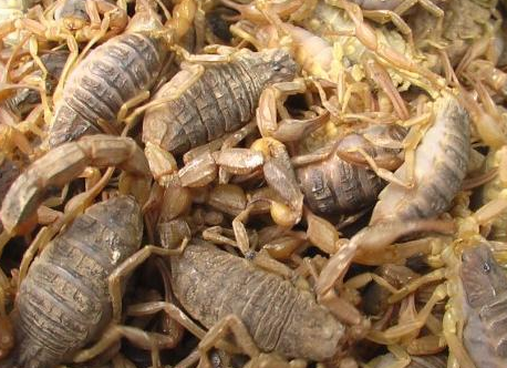 合肥小區開荒保潔要注意哪些事項呢？